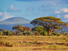 Are East African Countries Safe for Female Travelers? East Africa Tourism
