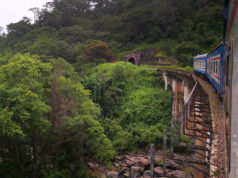 Why Your Next Adventure Should Be a Train Trip on TAZARA TAZARA Train
