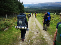 Ultimate Packing Tips for Africa Travelers Packing Tips