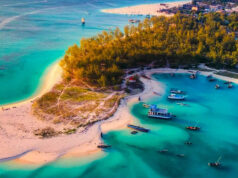 Best Diving Spots in East Africa Mafia Island