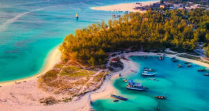 Best Diving Spots in East Africa Mafia Island