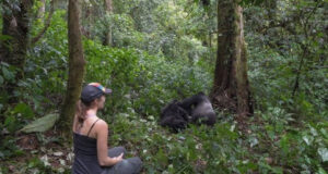 How to Go Gorilla Trekking on Budget Gorilla Trekking