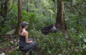 How to Go Gorilla Trekking on Budget Gorilla Trekking