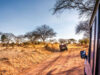 Long Term Car Rental in Kenya Kenya Car Travel